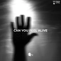 Can You Feel Alive - Single by Volt Noize & LSTDL album reviews, ratings, credits