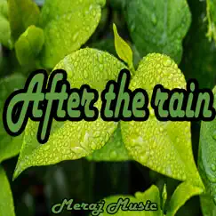 After the Rain - Single by Meraj Music album reviews, ratings, credits