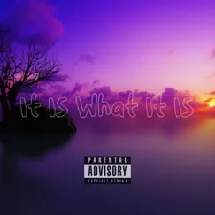 It Is What It Is (feat. 1Three 3) - Single by Roost album reviews, ratings, credits