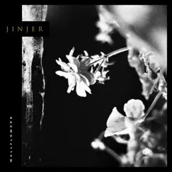 Wallflowers by Jinjer album reviews, ratings, credits
