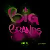 Big Brands (feat. Kice) - Single album lyrics, reviews, download