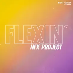 Flexin' - Single by NFX Project album reviews, ratings, credits