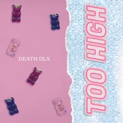 TOO HIGH (feat. deathirl, TOTALFUCKINGBLISS & goobwashere) Song Lyrics