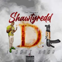 Idk - Single by Shawtyredd album reviews, ratings, credits