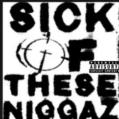 Sick of These N****z (feat. Djs) - Single by Big j album reviews, ratings, credits