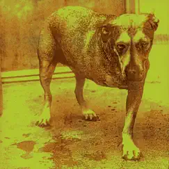 Alice In Chains by Alice In Chains album reviews, ratings, credits
