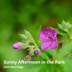 Sunny Afternoon in the Park - Single by Justin Mark Briggs album reviews, ratings, credits