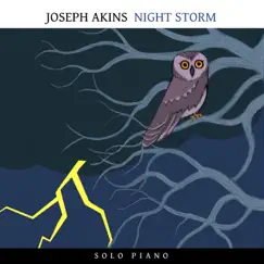 Night Storm - Single by Joseph Akins album reviews, ratings, credits