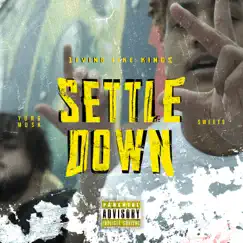 Settle Down - Single by Living Like Kings album reviews, ratings, credits