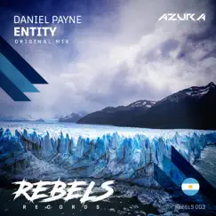 Entity - Single by Daniel Payne album reviews, ratings, credits