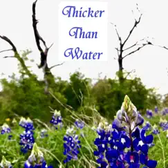 Thicker Than Water - Single by Jondan McBride album reviews, ratings, credits