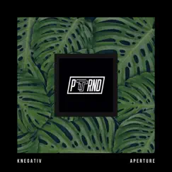 Aperture - Single by Knegativ album reviews, ratings, credits