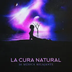 La Cura Natural – 50 Música Relajante para Meditación, Pensamiento Positivo, Spa, Reiki, Chromoterapia, Masaje, Yoga, Estudiar, Dormir, Sonidos de la Naturaleza, Espiritualidad, Antiestres by Relajante Academia de Música Zen album reviews, ratings, credits