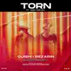 Torn (RAZZ Remix) - Single album lyrics, reviews, download