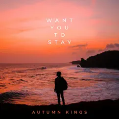 Want You to Stay Song Lyrics