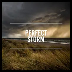 Perfect Storm by Rain Sounds album reviews, ratings, credits
