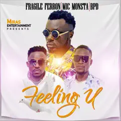 Feeling U (feat. Mic Monsta & BPD) - Single by Fragile Ferron album reviews, ratings, credits