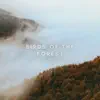 Birds of the Forest Sleep Aid - EP album lyrics, reviews, download