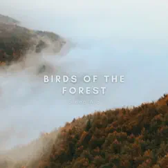 Birds of the Forest Sleep Aid - EP by Natural Sounds Selections, Nature Sound Collection & Zen Sounds album reviews, ratings, credits