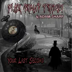 Your Last Second - Single by Black Ground Project & Adam Sharp album reviews, ratings, credits