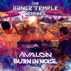 The Dance Temple Remixes - EP by Avalon & Burn in Noise album reviews, ratings, credits