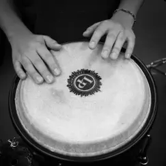 In the Wild Drums II - Single by Caiden Gentry album reviews, ratings, credits