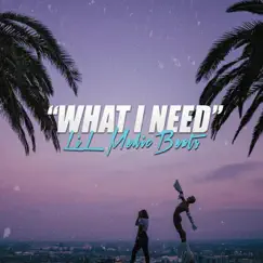 What I Need Song Lyrics