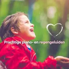 Calming Piano and Rain Song Lyrics