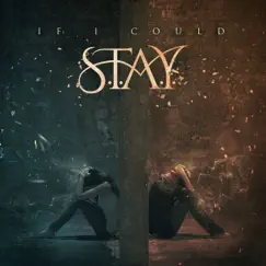 If I Could - Single by Stay album reviews, ratings, credits