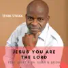 Jesus You Are the Lord - Single album lyrics, reviews, download