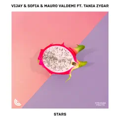 Stars (feat. Tania Zygar) Song Lyrics