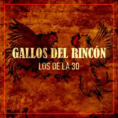 Gallos del Rincón - Single by Los de la Treinta album reviews, ratings, credits