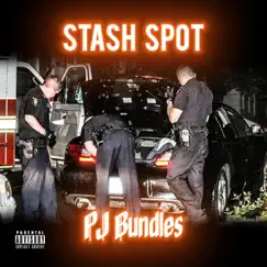 Stash Spot - Single by SYN PJ album reviews, ratings, credits