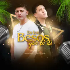 De los Besos Que Te Di (Salsa Remix) Song Lyrics