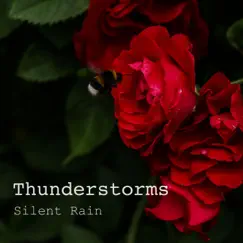 Silent Rain by Thunderstorms album reviews, ratings, credits