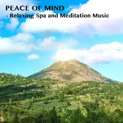 Peace of Mind Song Lyrics