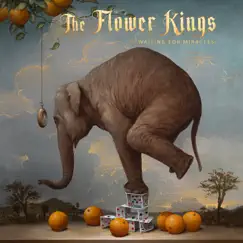 Waiting For Miracles by The Flower Kings album reviews, ratings, credits