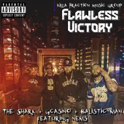 Flawless Victory - Single (feat. Nems) - Single by The Shark, Gcasino & Balistic Man album reviews, ratings, credits