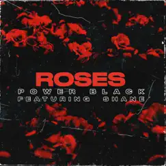 Roses (feat. Shane) Song Lyrics