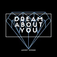 Dream About You Song Lyrics