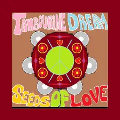 Tambourine Dream Song Lyrics