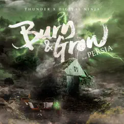 Burn&Grow (feat. PERSIA) - Single by THUNDER & DIGITAL NINJA album reviews, ratings, credits