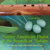 NATIVE AMERICAN FLUTES & SOUNDS OF NATURE (Relaxing Native American Flute & Nature Sounds for Massage, Sleep, Spas & Yoga) album lyrics, reviews, download