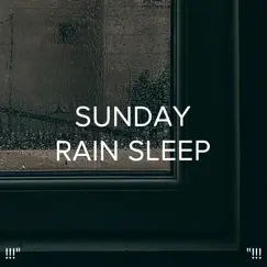 睡眠のための雨の音 Song Lyrics