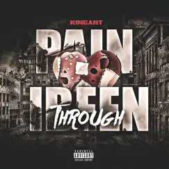Pain I Been Through - Single by Kingant album reviews, ratings, credits