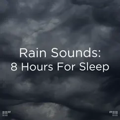 Suara Hujan Untuk Tidur Song Lyrics