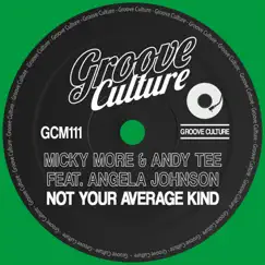 Not Your Average Kind (feat. Angela Johnson) - Single by Micky More & Andy Tee album reviews, ratings, credits