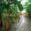 Lofi In a Tropical Rain - Single album lyrics, reviews, download