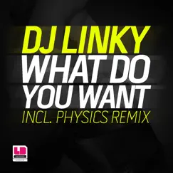 What Do You Want from Me (Physics Remix) Song Lyrics