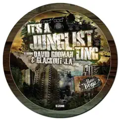 It's a Junglist Ting Ep (feat. David Boomah & Blackout JA) by Run Tingz Cru album reviews, ratings, credits